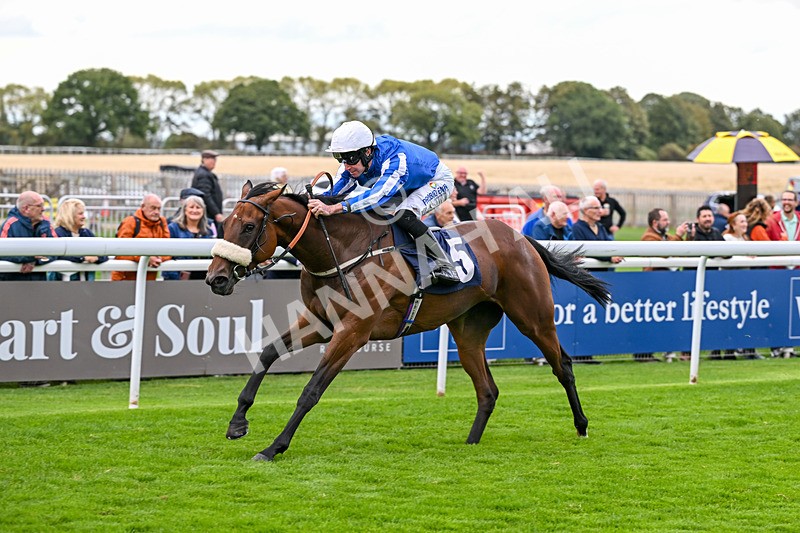 170925-Race 2-Lady Youmzain-4098 - Race 2