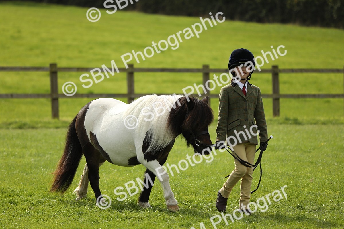 SBM_67687 - S39 - Junior Handler 8  Years & Under