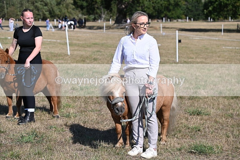WJ6_7333 - Class 33 Rescue Pony