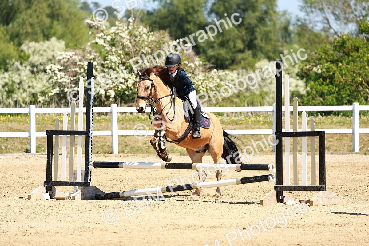 SBM_007558 - Class 3 - 60cm