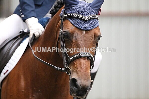 SIAL4995 - CAbin Dressage 5th july 2025