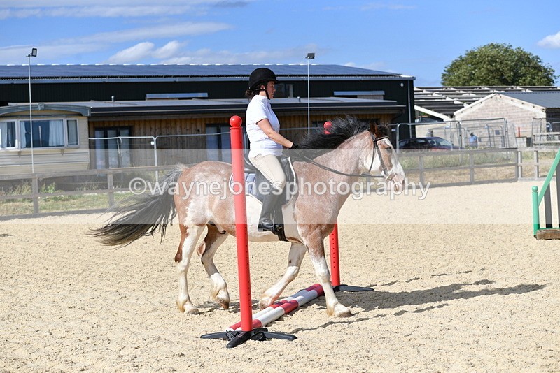 WJ5_5550 - Poles on the Floor