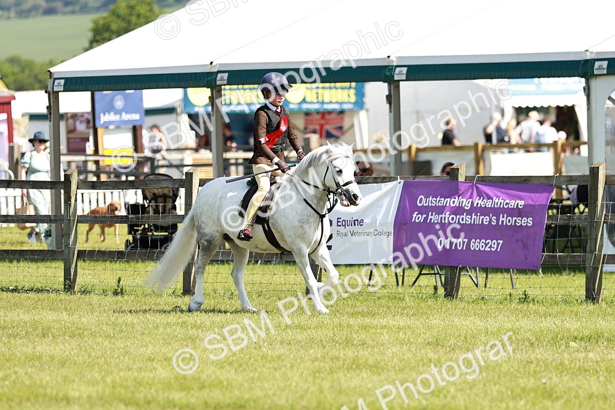 SBM_12836 - Class 106-107 - BSPS LIHS Working Sports Pony