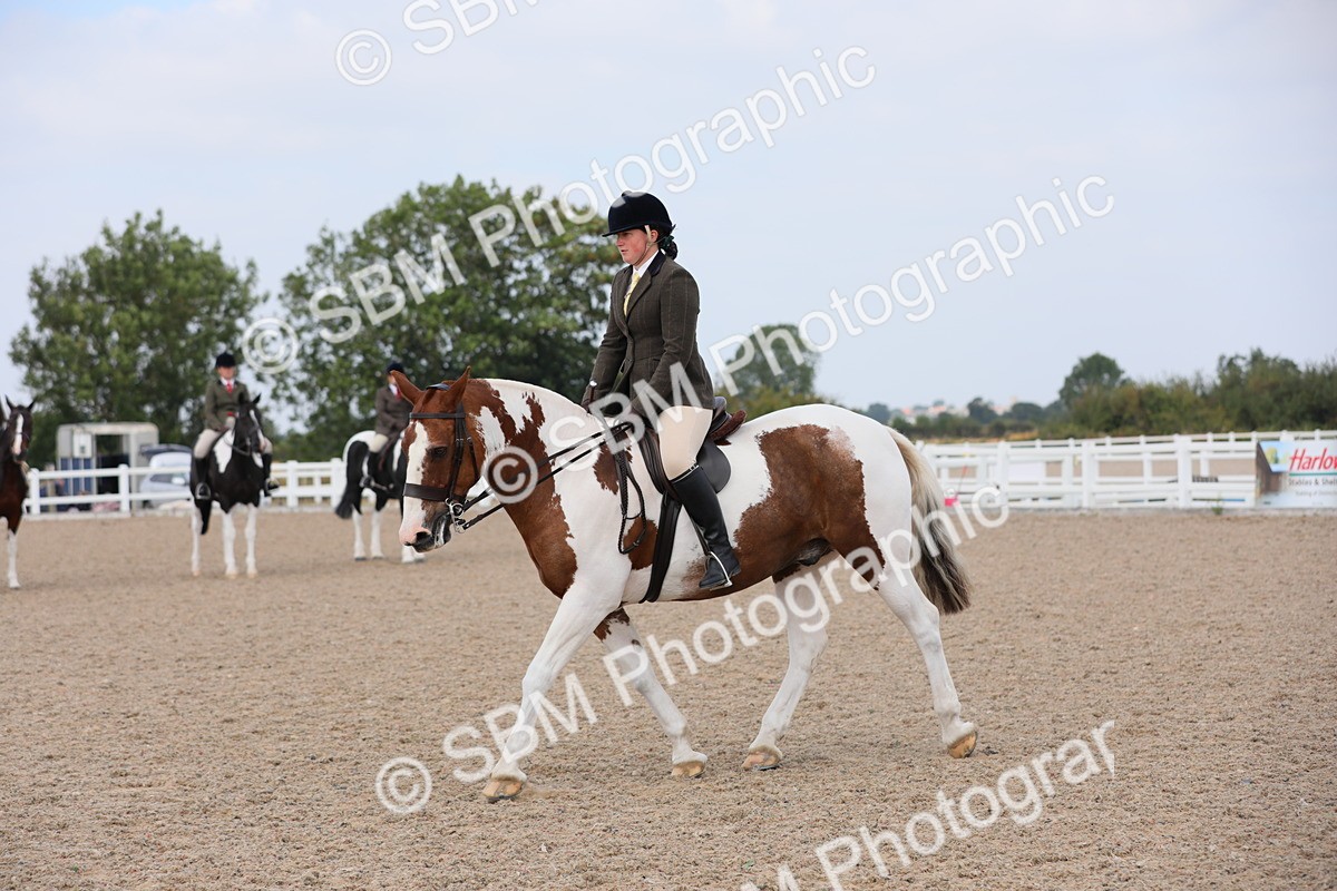 SBM_13392 - Class 308 Ridden Coloured Horse