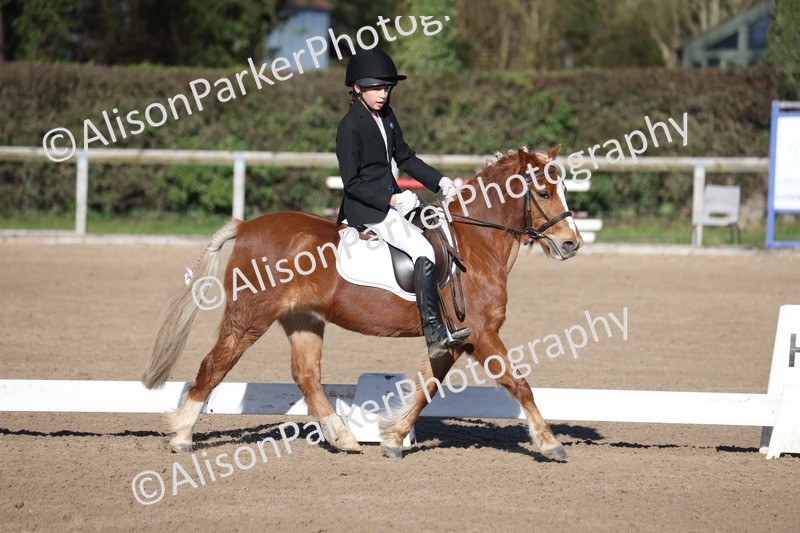 20260214-0278 - Class 3 - Prelim 2