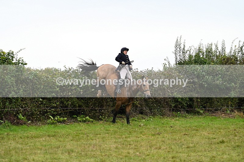 WJ7_4205 - Camera 1 Line 2