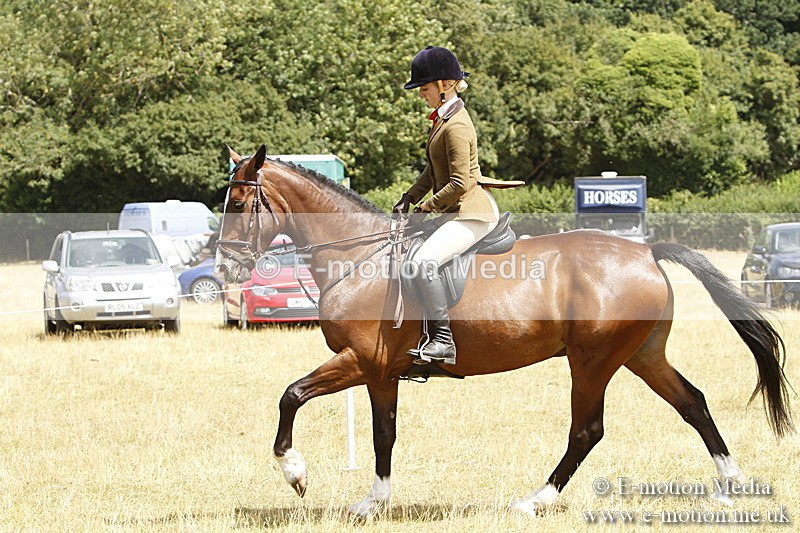 _BS_0955 - BVRC Show 2018 Ring 3