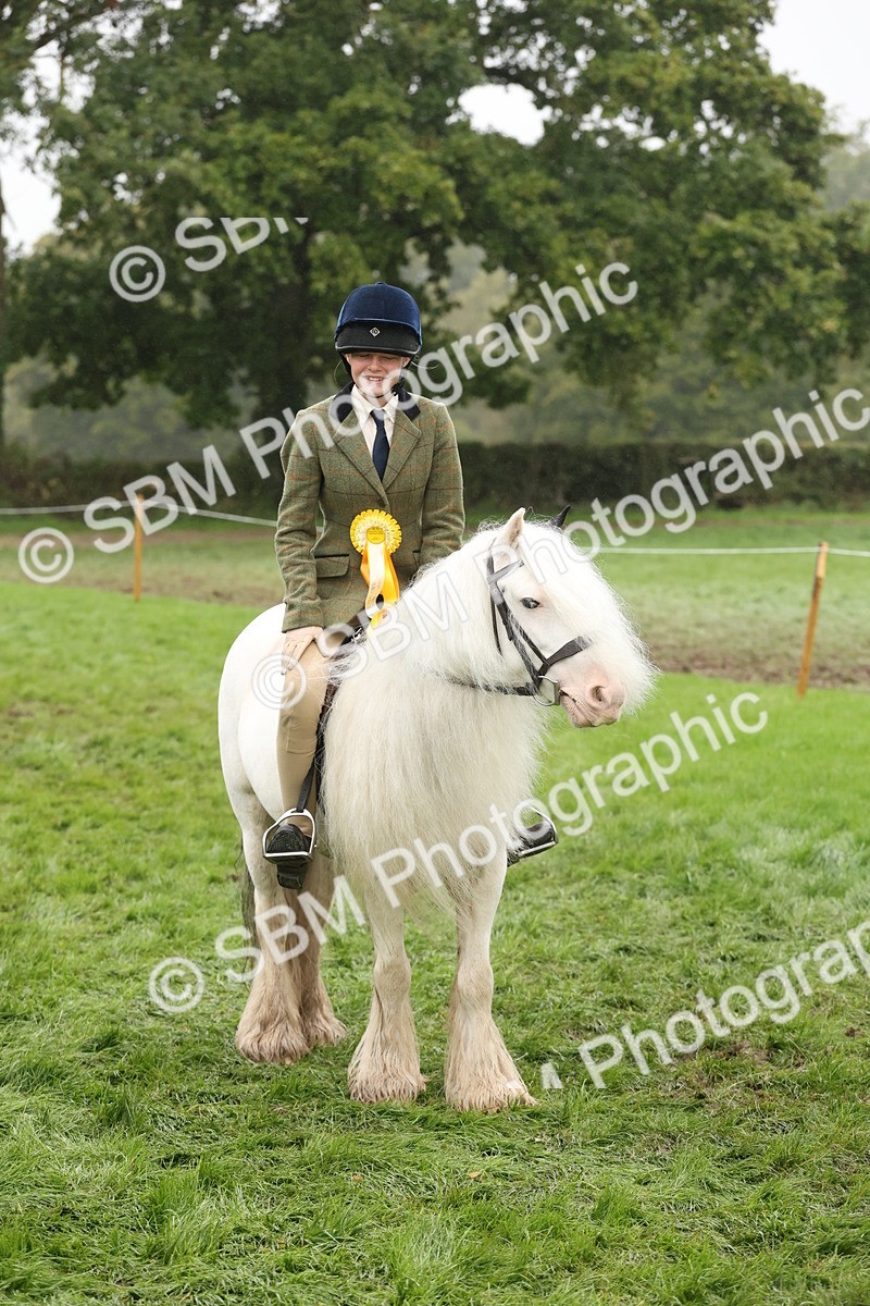 SBM_72867 - S70 - Traditional Cob Ridden