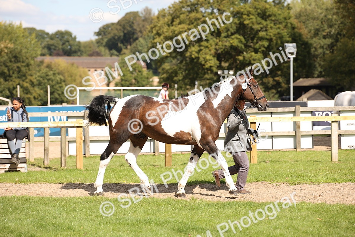 SBM_44394 - S24 - Young Veteran in hand