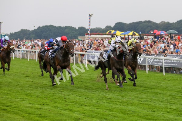 100923-Race 5-Commanche Falls-3953 - Race 5 3.50pm BetGoodwin Garrowby Stakes