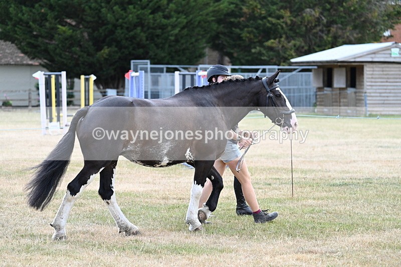 WJ7_1822 - Class 4a Prettiest Mare 14.2hh and over hand