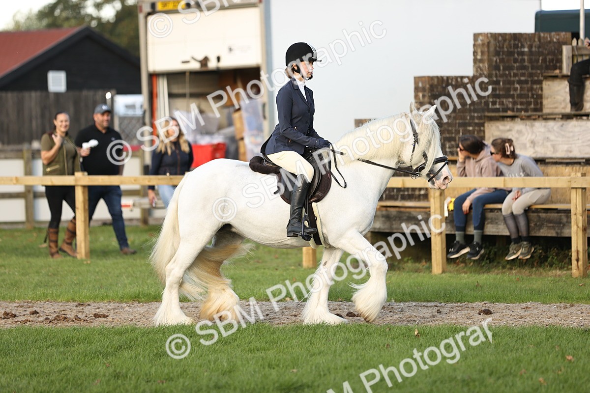SBM_29538 - S7 - Novice & Newcomers Ridden Pony