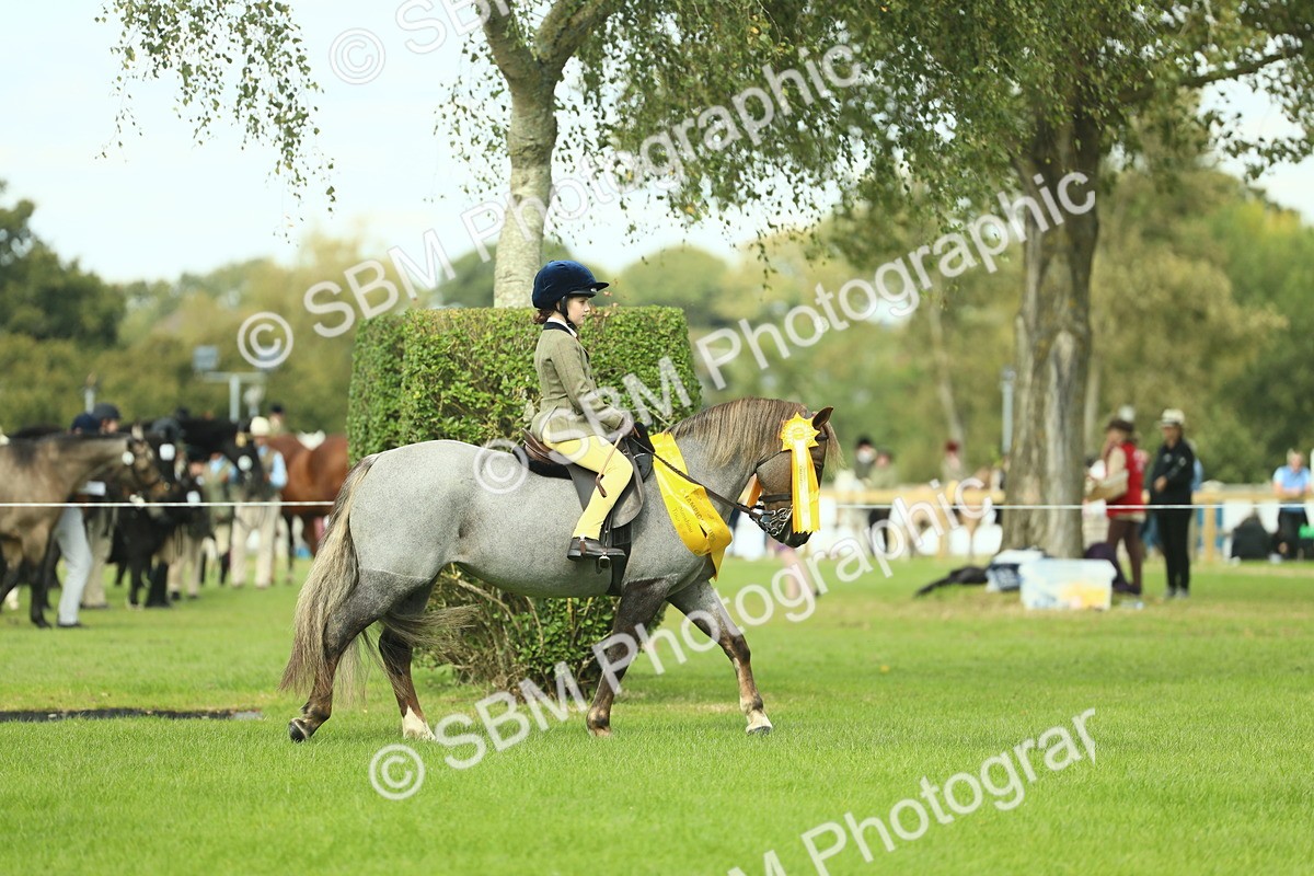 SBM_44852 - Working Hunter Pony Supreme Championship