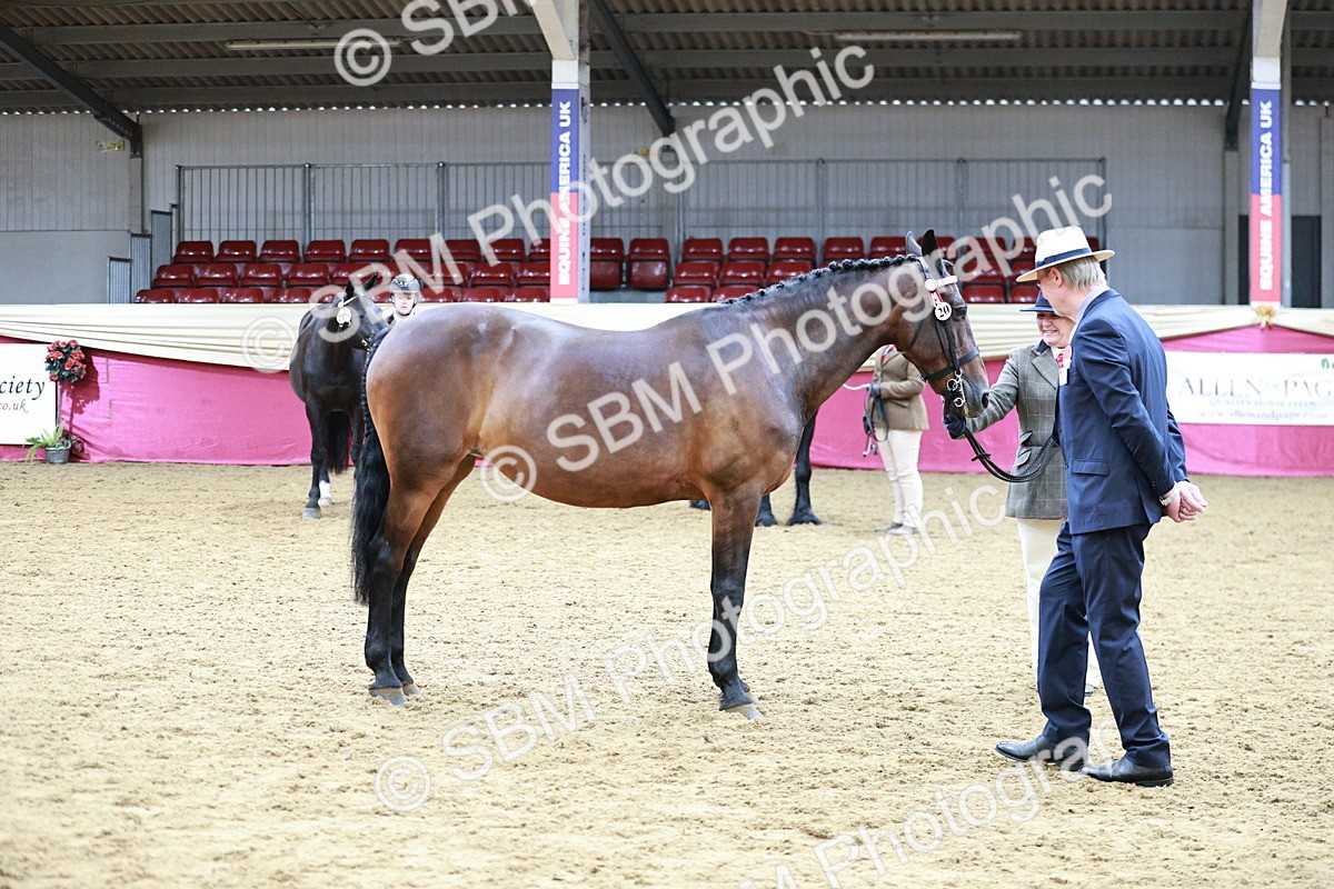 SBM_00918 - Class 2A - Area IH Veteran