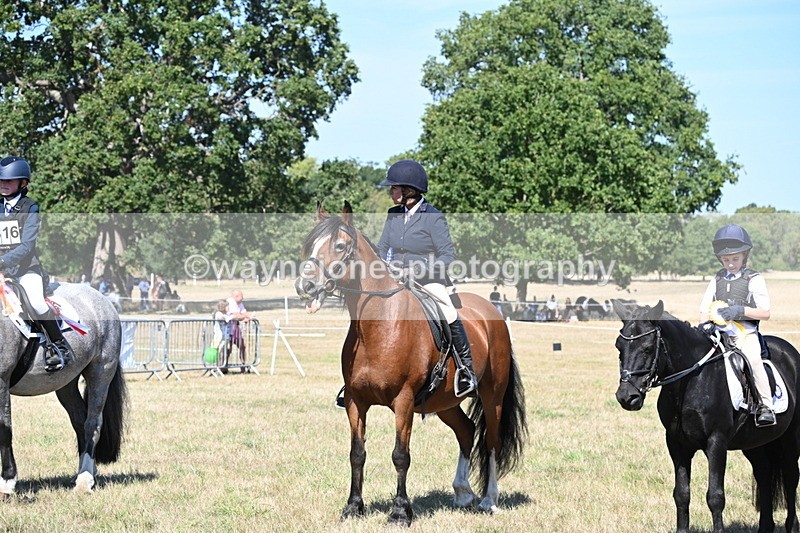 WJ6_8487 - Class 37a Best Loan Pony Ridden