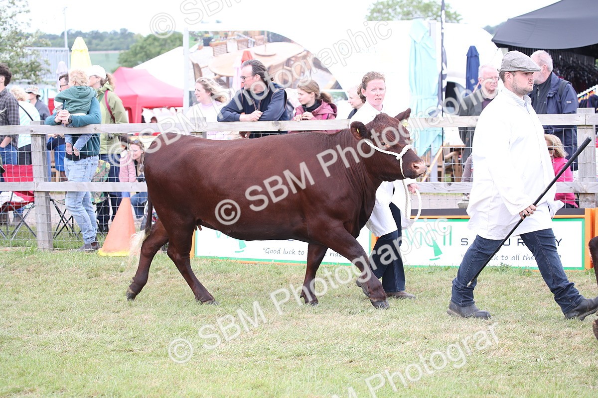 SBM_07831 - Grand Parade