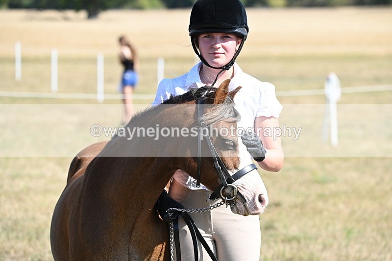 WJ6_7642 - Class 34 Judges Choice