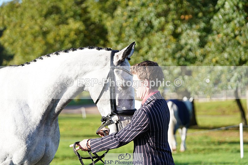 241026-100526-11601 - 001-Cameron.Beer-NEWPORTS.DEFINITELY.UNTOUCHABLE