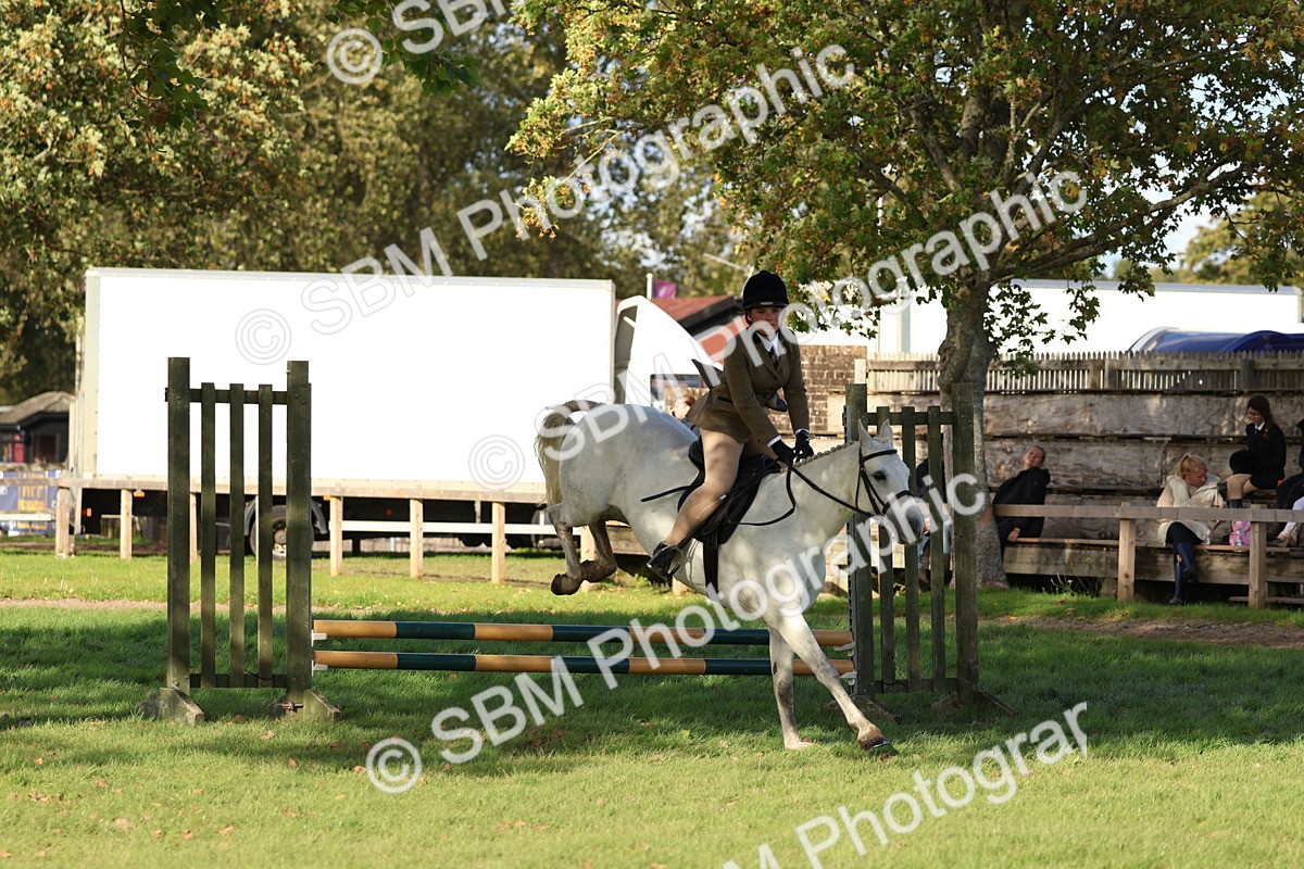 SBM_52518 - S13 - Pony Club Pony