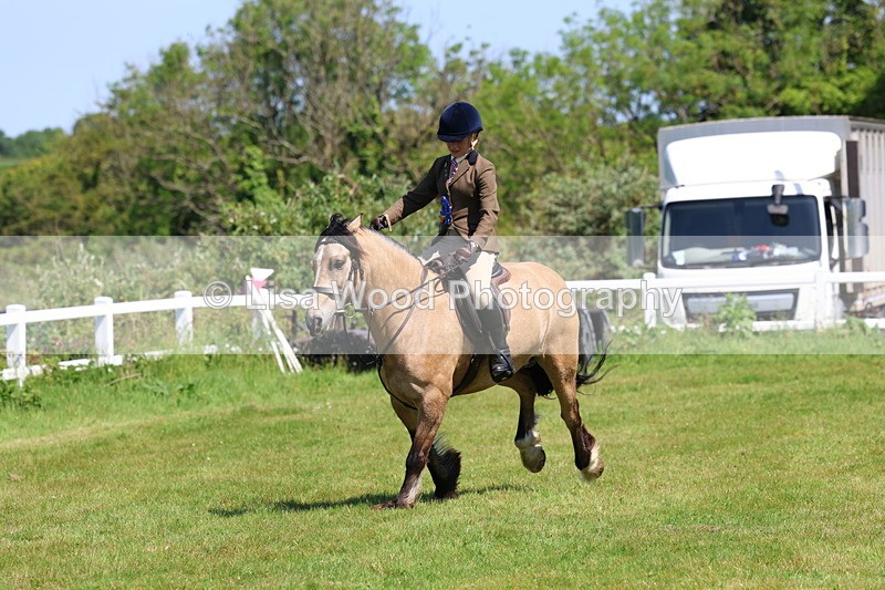 3E7A6783 - Working Hunter Pony Championship