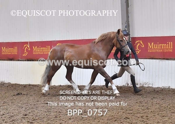 BPP_0757 - RING 2