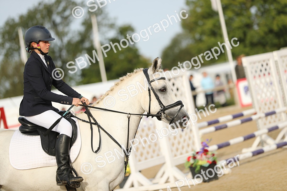 SBM_56081 - J24 - Junior Horse 75cm Championship