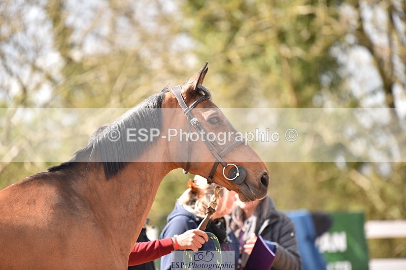 240417A-155304-01015 - 3pm to 4pm