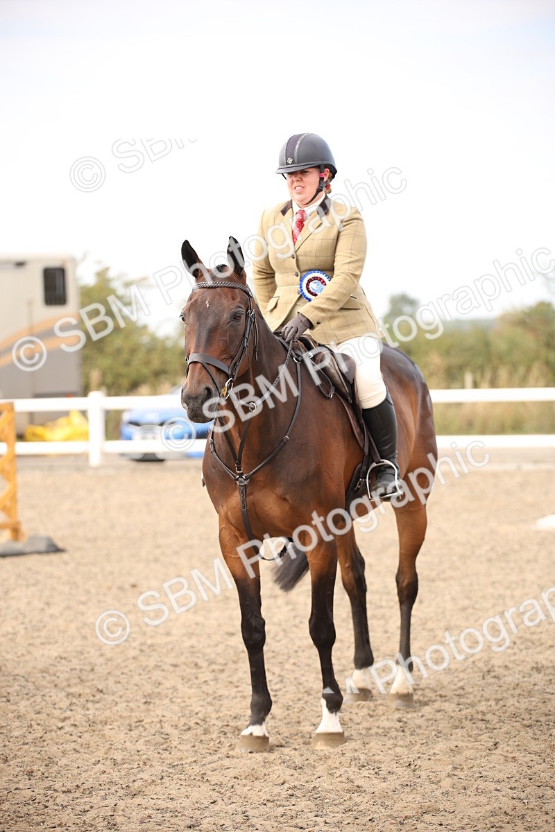 SBM_17329 - Class 410a - Wor5king Veteran 90cm (15-19)