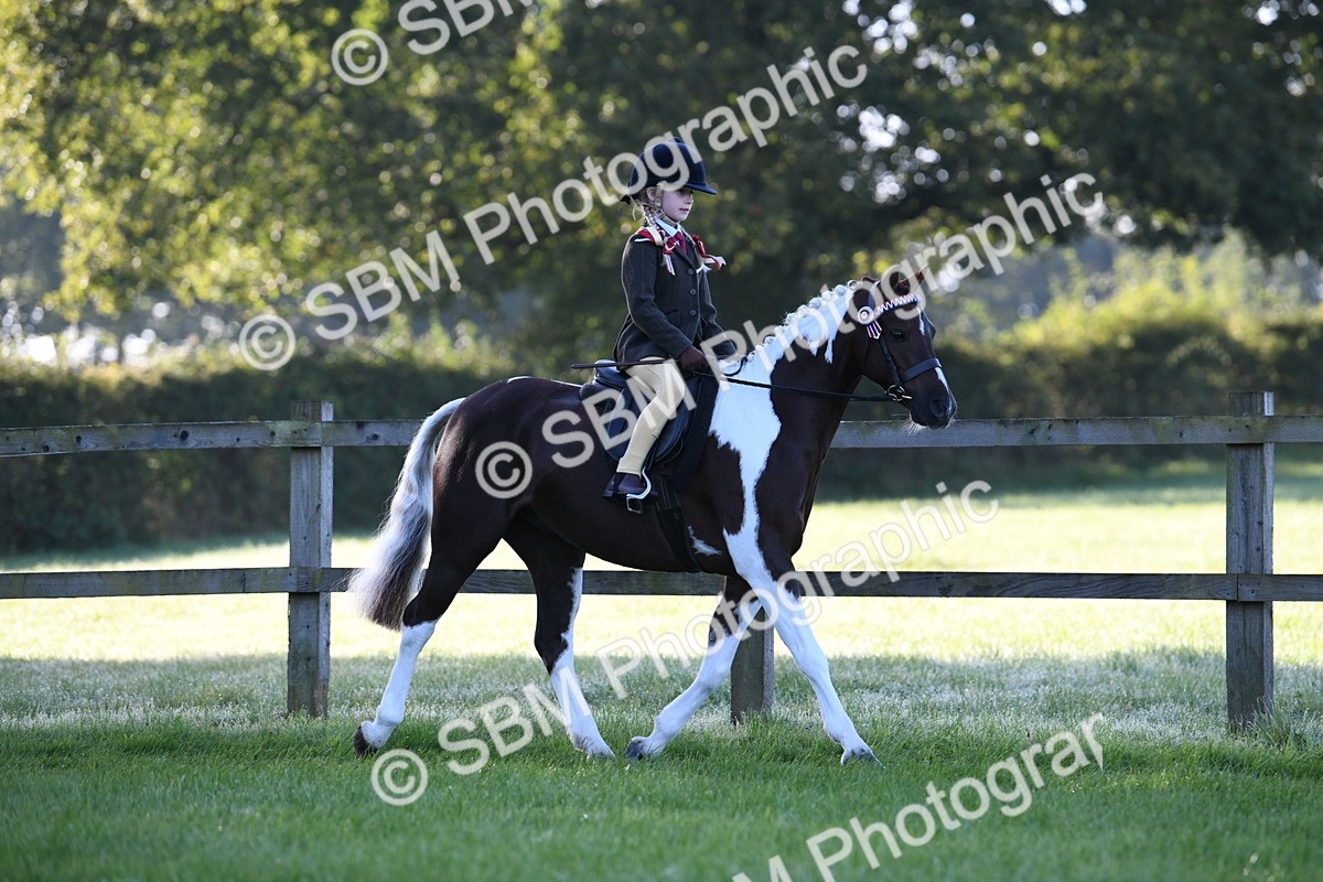 SBM_33942 - S16 - Condition & Turnout - Ridden