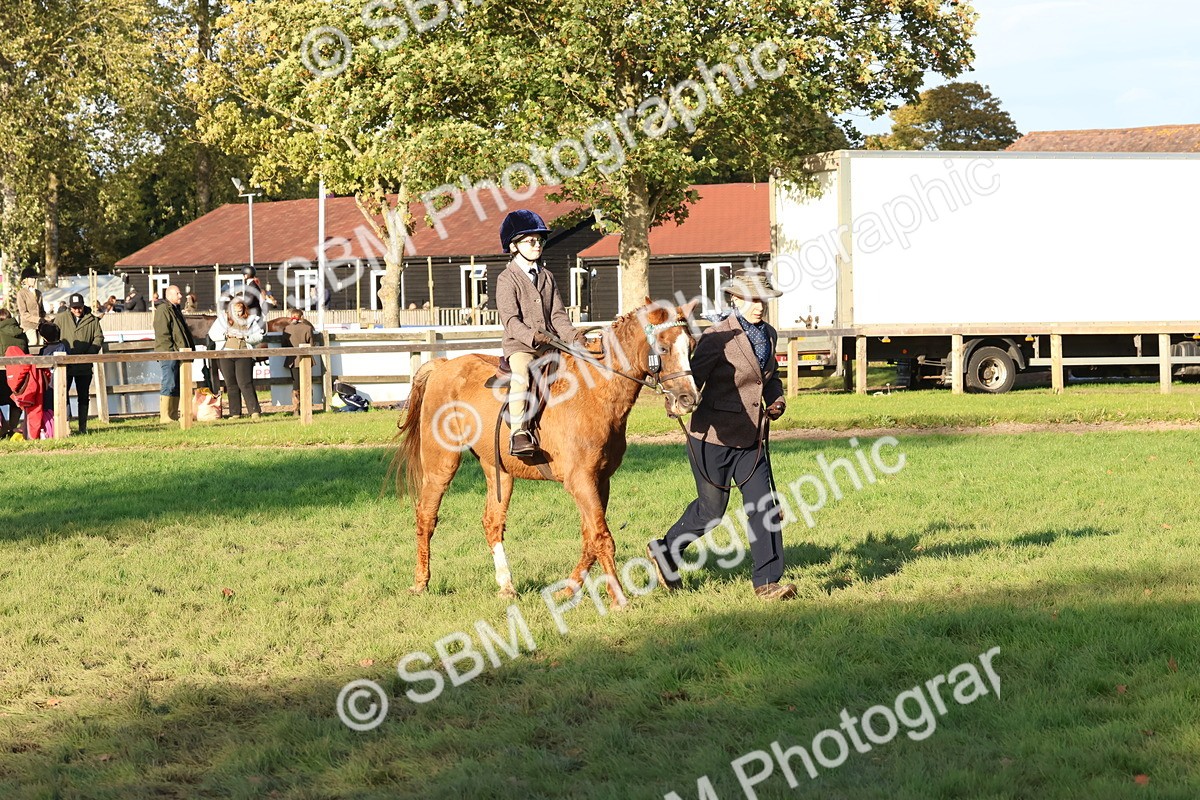 SBM_53025 - S29 - Mature Veteran Ridden