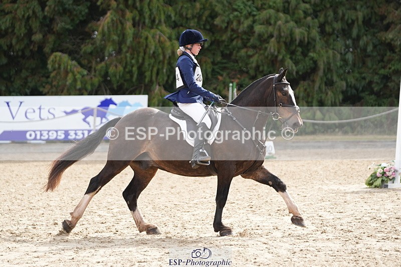 250824A-105119-34933 - 2004-Anaya.Stoneman-Anablaha.Blue