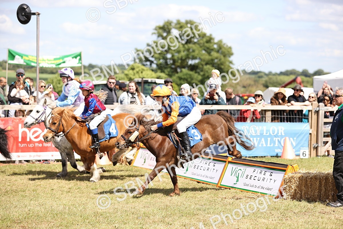 SBM_16697 - Dinky Derby