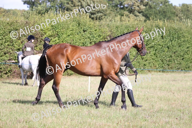 20260906-0669 - Class 22 - Ex Racehorse