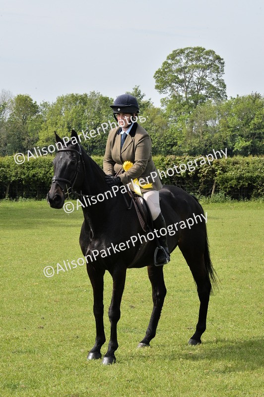 20260426-1174 - Class 19 - Retraining Of Racehorses