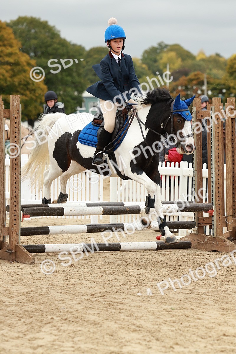 SBM_69088 - J13 - Junior Pony 60cm Championship