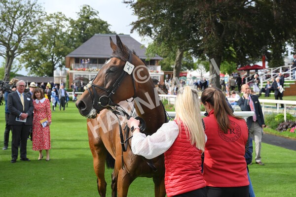 yr19082021r6-32 - Race 6 4.45pm British EBF & Sir Henry Cecil Galtres Stakes