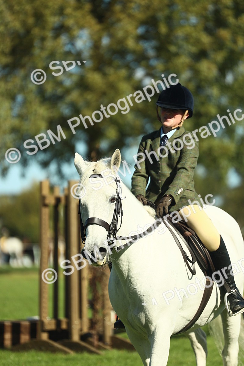 SBM_39191 - S29 - Novice & Newcomers Working Hunter Pony