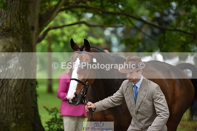 240522-170326-01352 - 235-GREENHALL_JAY-Henry_Hobby