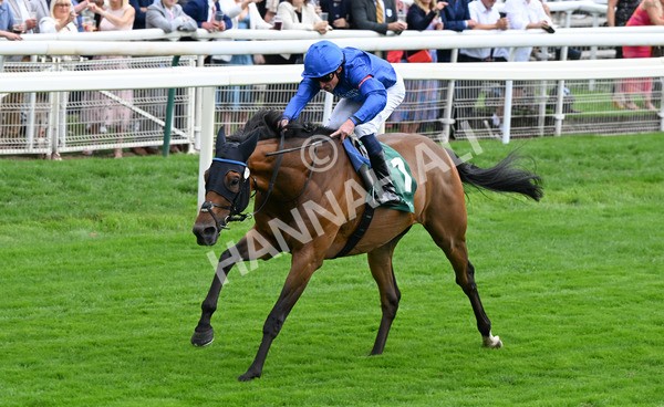 220825-060 Trawlerman - Race 2 2.25pm Weatherbys Lonsdale Cup Stakes