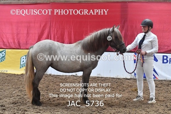 JAC_5736 - 6 Glenmuir Niamh
