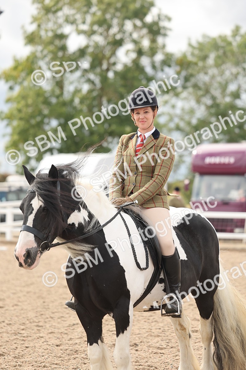 SBM_18035 - Class 314 - Family Horse Pony