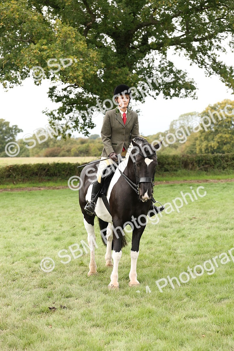 SBM_67278 - S67 - Piebald & Skewbald Horse Ridden
