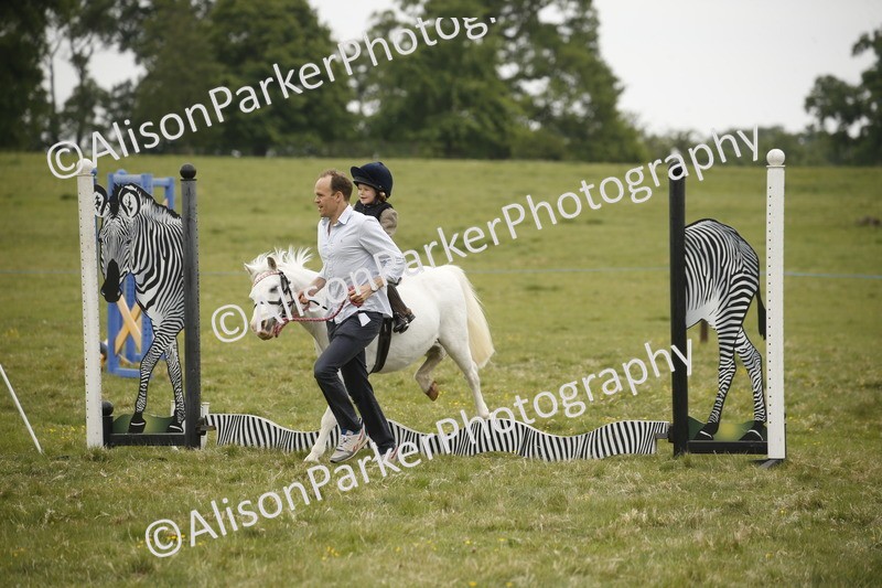 20250517-0176 - Class 1 - 30cm On Lead Rein