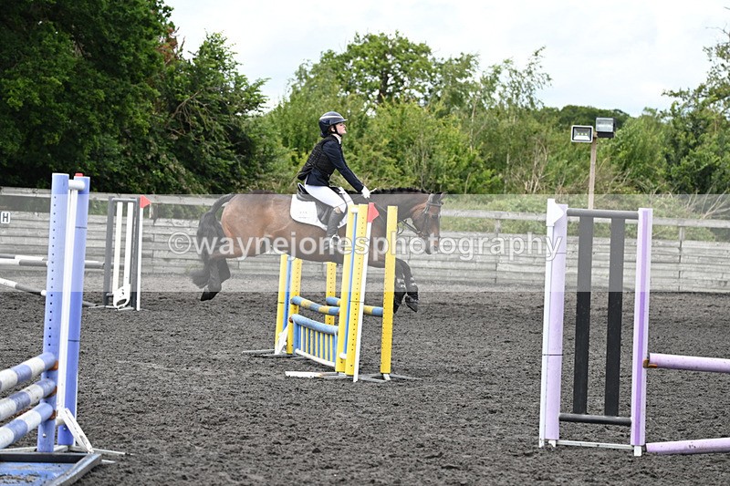 WJ6_1241 - Clear Round 2