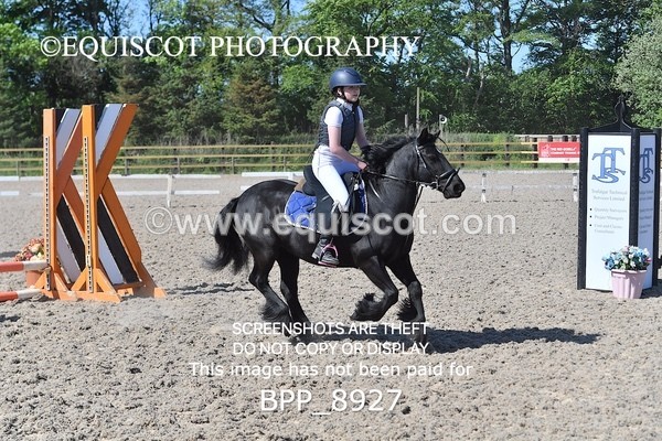 BPP_8927 - CLASS 3 40CM