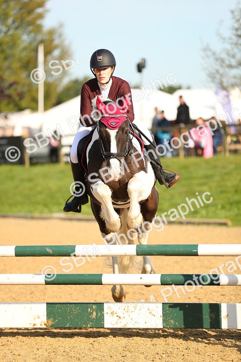 SBM_60164 - J41 - Grand Tour 95cm Championship