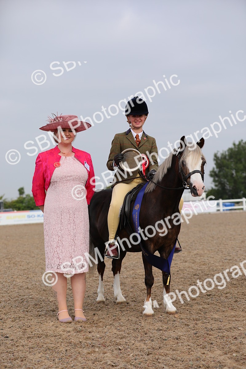 SBM_09676 - Class 301 Ridden M&M -Small Breeds