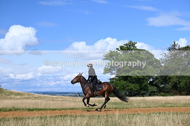 DSC_0193 - Time at Statue 15:58 to 16:05