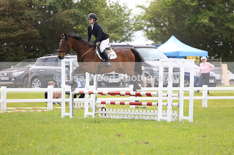 3E7A1596 - Class 13: Senior British Novice/90cm open
