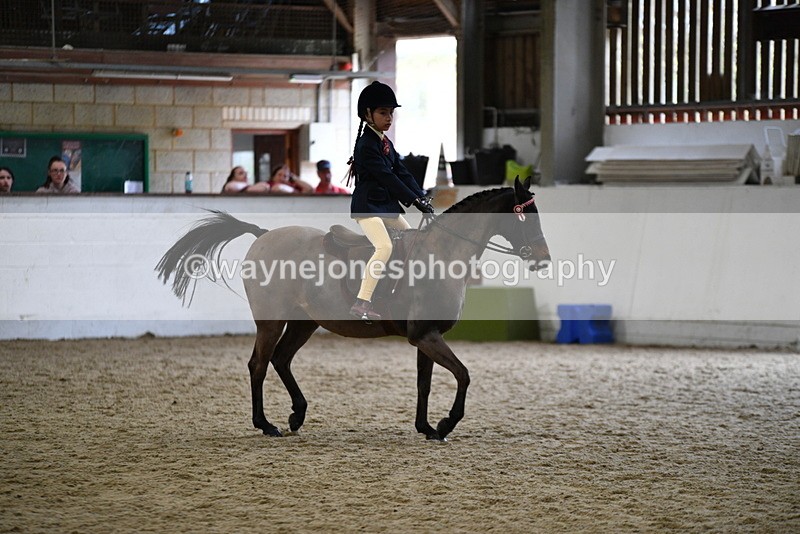 WJ5_6944 - Class 10 Childs Pony
